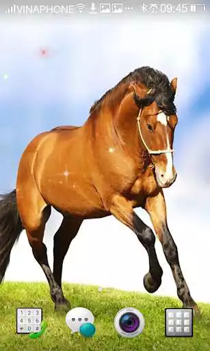 Play Horse Live Wallpaper HD 4K  and enjoy Horse Live Wallpaper HD 4K with UptoPlay
