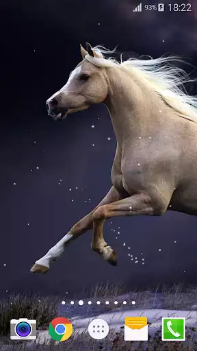 Play Horse Live Wallpaper