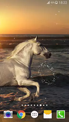 Play Horse Live Wallpaper