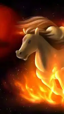 Play Horse Live Wallpaper