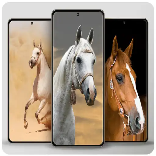 Play Horse love wallpapers APK