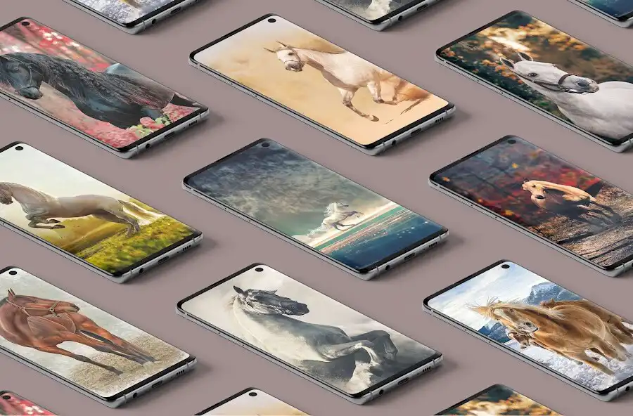 Play Horse love wallpapers  and enjoy Horse love wallpapers with UptoPlay