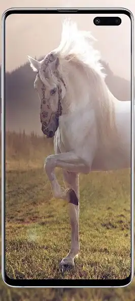 Play Horse love wallpapers as an online game Horse love wallpapers with UptoPlay