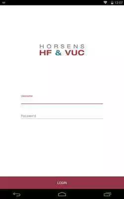 Play Horsens HF  VUC