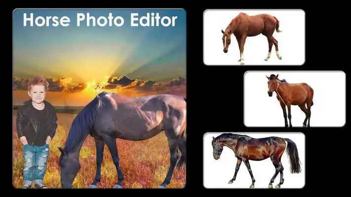 Play Horse Photo Editor