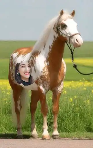 Play Horse Photo Frames Editor Play Horse Photo Frames Editor