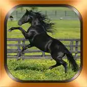Free play online Horse Photos and Videos APK