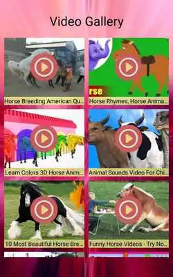 Play Horse Photos and Videos