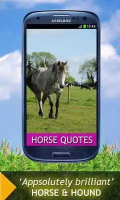 Play Horse Quotes And Sayings