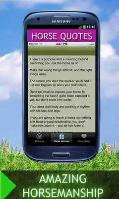 Play Horse Quotes And Sayings
