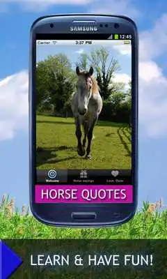 Play Horse Quotes And Sayings