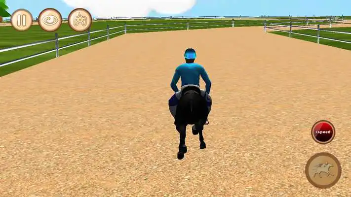 Play Horse Race