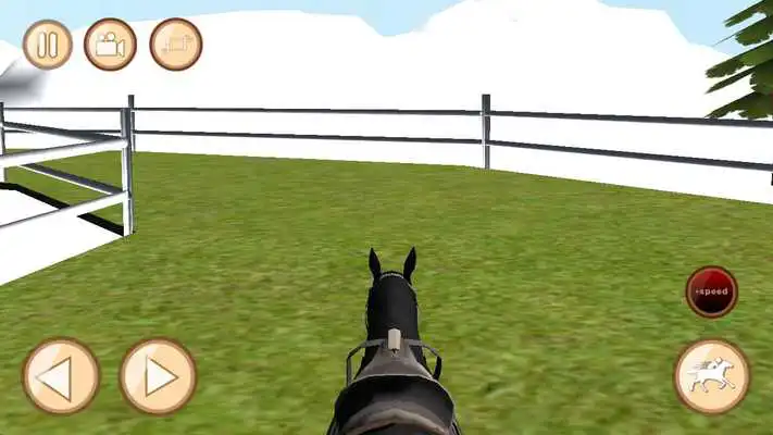 Play Horse Race