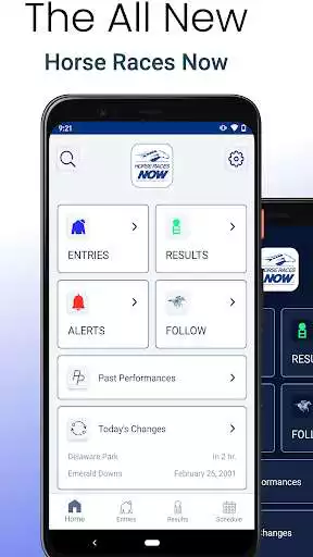 Play Horse Races Now