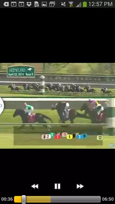 Play Horse Races Now