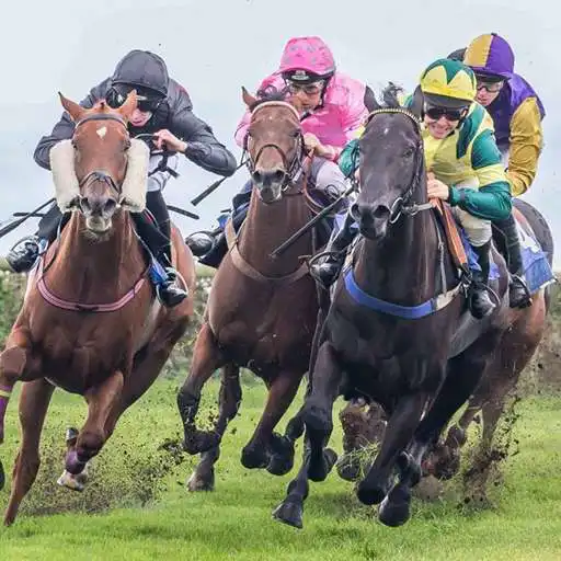 Play Horse Racing Wallpaper APK