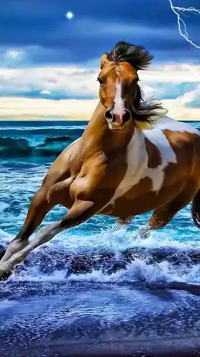 Play Horses Live Wallpaper