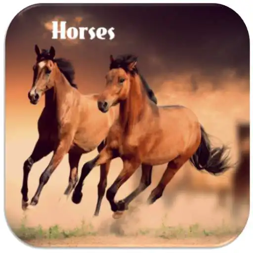 Play Horses Neighing APK Play Horses Neighing APK
