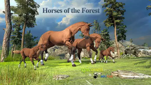 Play Horses of the Forest  and enjoy Horses of the Forest with UptoPlay
