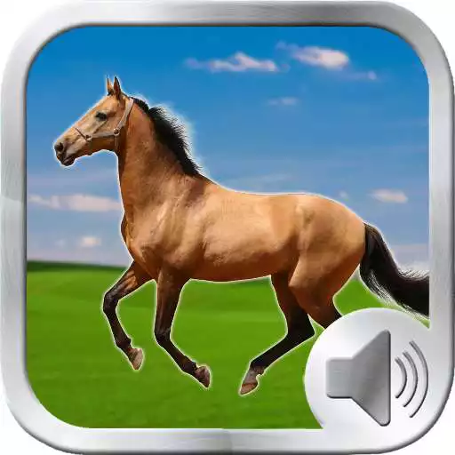 Play Horse Sounds Ringtones APK