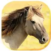 Free play online Horses Sounds 2017 LWP APK