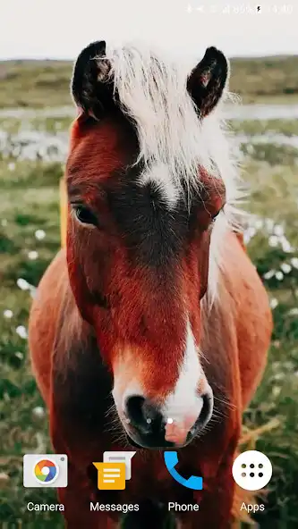 Play Horses Video Live Wallpaper as an online game Horses Video Live Wallpaper with UptoPlay