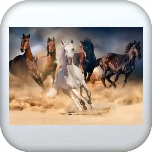 Play horses wallpaper HD APK