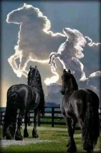 Play horses wallpaper HD as an online game horses wallpaper HD with UptoPlay