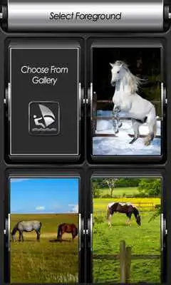 Play Horses Zipper Lock Screen