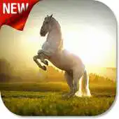 Free play online Horse Vip Lock Screen APK