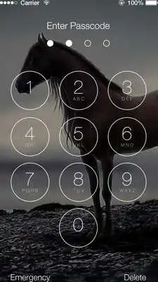 Play Horse Vip Lock Screen Play Horse Vip Lock Screen