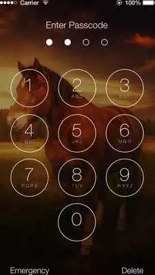 Play Horse Vip Lock Screen Play Horse Vip Lock Screen