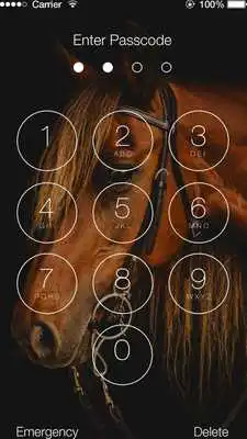 Play Horse Vip Lock Screen Play Horse Vip Lock Screen