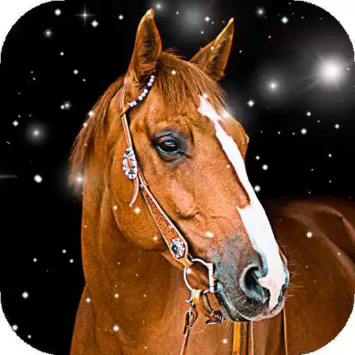 Play Horse Wallpaper HD : backgrounds themes APK Play Horse Wallpaper HD : backgrounds themes APK