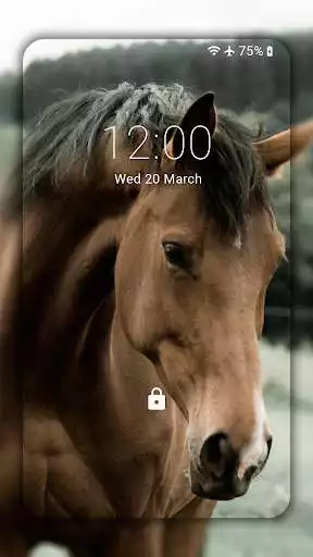Play Horse Wallpaper HD : backgrounds  themes  and enjoy Horse Wallpaper HD : backgrounds  themes with UptoPlay