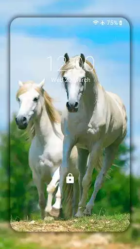 Play Horse Wallpaper HD : backgrounds  themes as an online game Horse Wallpaper HD : backgrounds  themes with UptoPlay