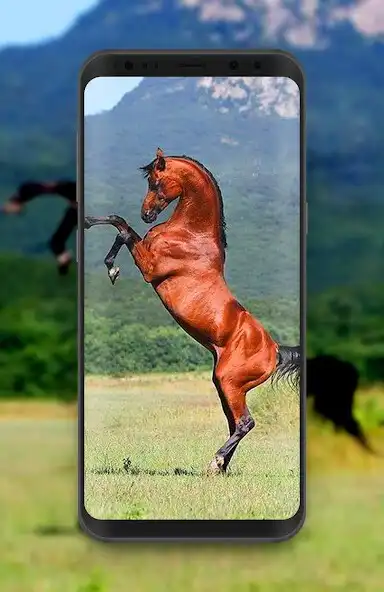 Play Horse Wallpaper HD Offline as an online game Horse Wallpaper HD Offline with UptoPlay