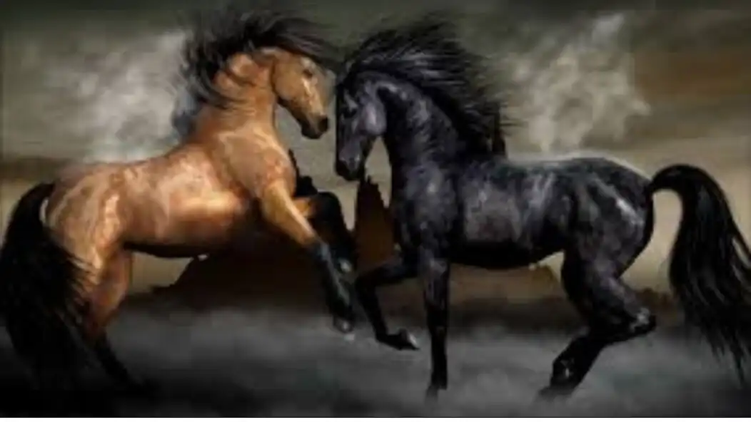 Play horse wallpaper in HD2023 and enjoy horse wallpaper in HD2023 with UptoPlay Play horse wallpaper in HD2023 and enjoy horse wallpaper in HD2023 with UptoPlay