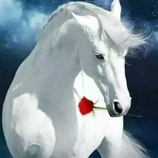 Play Horse Wallpapers 2020 APK