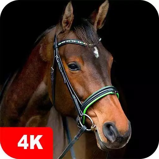 Play Horse Wallpapers 4K APK