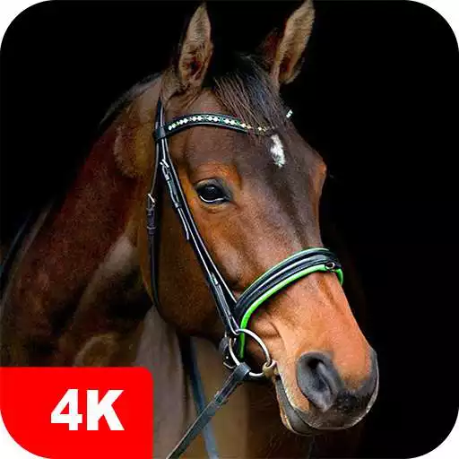 Play Horse Wallpapers 4K APK Play Horse Wallpapers 4K APK
