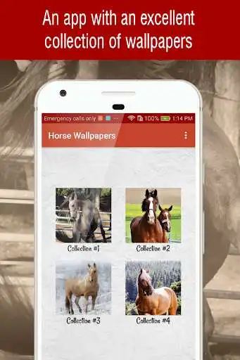 Play Horse Wallpapers Backgrounds Play Horse Wallpapers Backgrounds