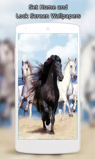 Play Horse Wallpapers HD as an online game Horse Wallpapers HD with UptoPlay