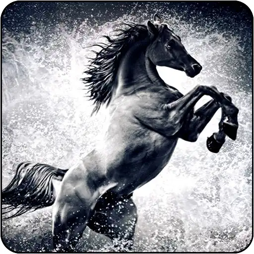 Run free android online Horse Wallpapers APK