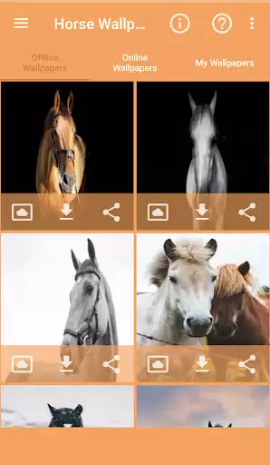 Play Horse Wallpapers as an online game Horse Wallpapers with UptoPlay