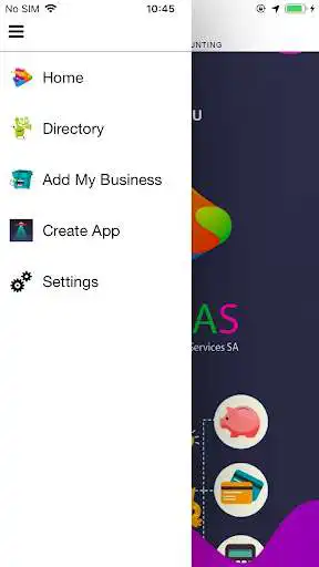 Play hosaas financial directory as an online game hosaas financial directory with UptoPlay