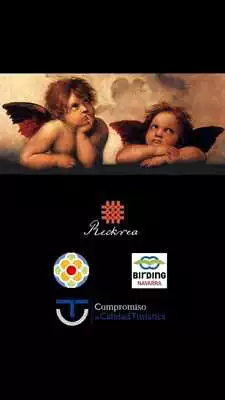 Play Hostal Gartxenia