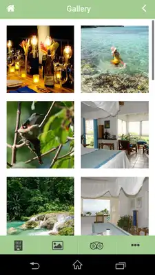 Play Hotel Mockingbird Hill