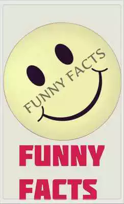 Play Hot Funny Facts
