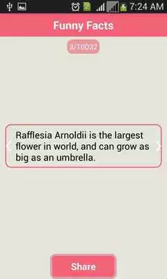 Play Hot Funny Facts